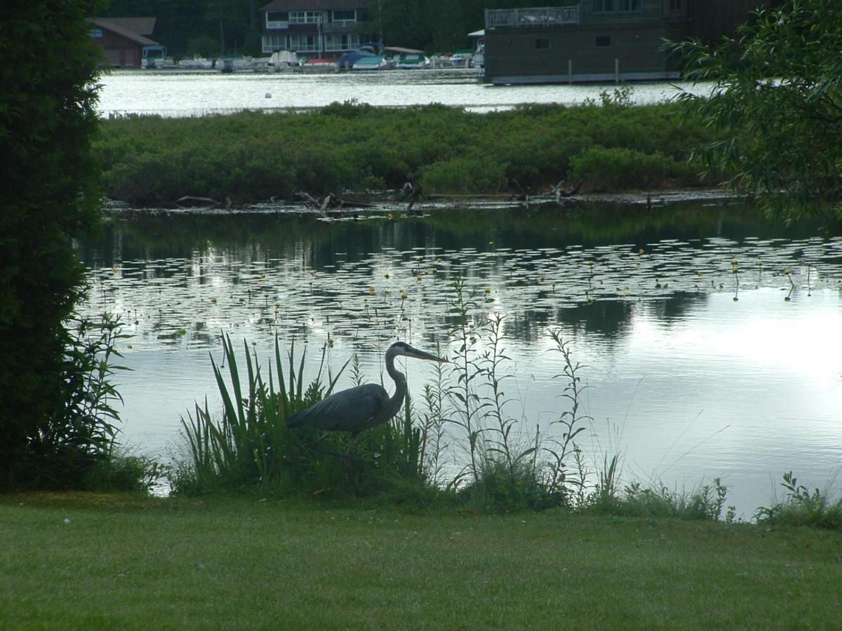 Wildwood On The Lake Motel Lake Placid Bagian luar foto